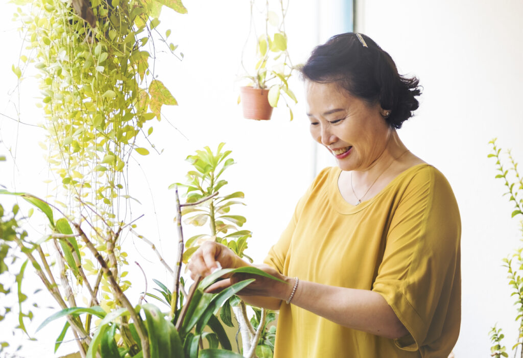 熟齡療癒